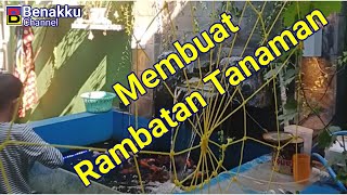 Membuat Rambatan Tanaman #idekreaktif #tanamanggur #tabulampot