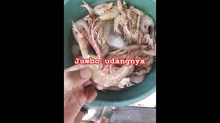 #ikan #bolang #udangmantis #lucu #vlog #channa #udang #viral #drama