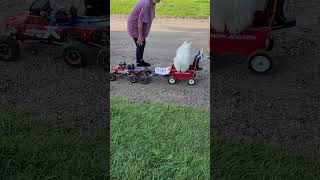 dog in an RC ride