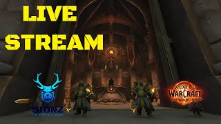 Warcraft Bonus Stream | New Player Friendly | Dungeons/Delves/Profs