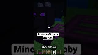 Minecraft baby dragon