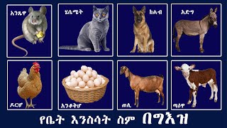 የቤት እንስሳት ስም በግእዝ - ቋንቋ - ለልጆች - ክፍል - 2