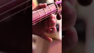 Do Pal Roka Khabo Ka Karwa Song In Rabab #rabab #rabablearning