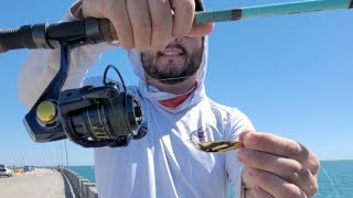 Live Skyway PIER Fishing Report