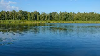 Безкоштовний пляж на річці Козинка в с. Рудики (Плюти). 30 км від Києва в сторону м. Обухів