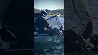 KAYAK FISHING FOR PERCH - Trip 2 - Rutland Water #perchfishing #lurefishing #kayakfishing