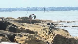 Rock fishing at Southside Port Botany, New South Wales, Australia, A U