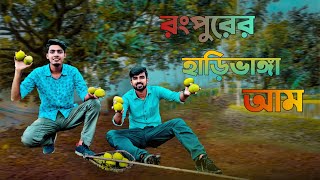 রংপুরের হাড়িভাঙ্গা আম  || Harivanga Mango Rangpur || Mango Special trip || sakib salim vlog.