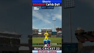 Real Cricket 22 Boundary Catch 😱OMG !