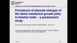 Prevalence of physeal changes of the distal metatarsal growth plate in finishing bulls