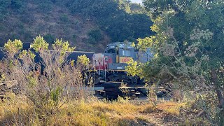 Ozol Yard Railfanning w/ UP 1005 with @CalifornianRailfan (9/10/23)