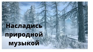 игры природы 10.10.2021 насладись природной музыкой