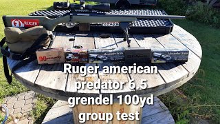 Ruger american predator 6.5 grendel 100yd group test