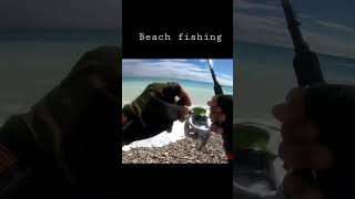 Catching Croaker from the beach | #fishing  | #shorefishing