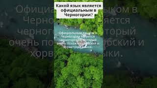 Какой язык является официальным в Черногории?