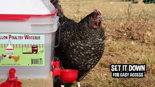 2 Gallon Poultry Waterer with Auto-Fill Cups