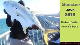 MONSTER Jack Crevalle! Florida Keys Bridge fishing.