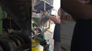 Peanut|Sesame|Cottonseed|Soybean|Rapeseed Oil Presser and Oil Pressing Machine