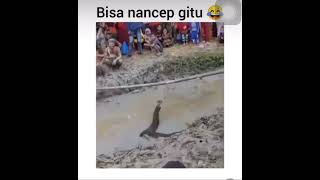 Malah nancep 😂