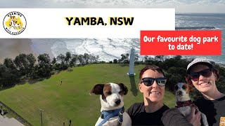 Exploring Yamba's Hidden Gems & Sugar Cane Serenity