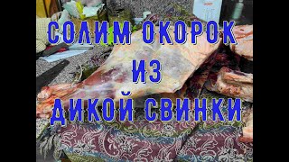 Солим окорок из дикой свинки