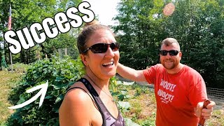 Off Grid Homesteading- Self Reliance. Blueberry and Vegetable Garden Update.