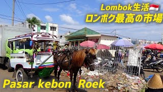 【Lombok生活🇮🇩】ロンボク最大&最高の市場でお買い物。新鮮、珍しいもの、天然食材の宝庫。ロンボクおばちゃんたちの素晴らしさも！pasar kebon Roek