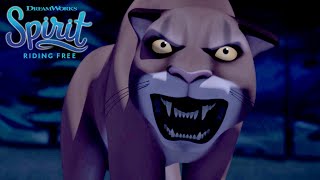 Spirit & Lucky Fend Off a Mountain Lion | SPIRIT RIDING FREE | Netflix