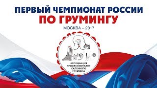 Фильм «Первый чемпионат России по грумингу»