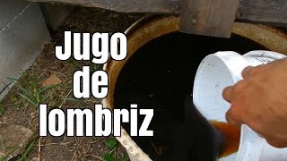 Jugo de lombriz para abonar los frutales y mi lombricompostera