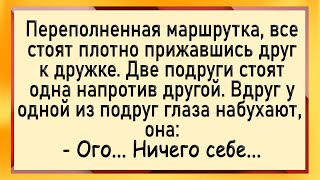 Как женщине в маршрутке засадили! Сборник свежих анекдотов! Юмор!