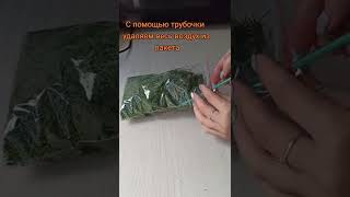 заготовка укропа на зиму