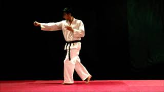 2 Ushiro Ken Básico Nippon kempo 日本拳法 Ниппон кэмпо