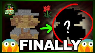 WE FINALLY MADE 2D MARIO MINECRAFT INTO 3D MARIO MINECRAFT FLOWER STYLE