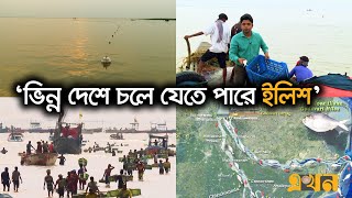 ইলিশ বাংলাদেশ ছাড়ছে যে কারণে | Hilsha Migration | Hilsha Price | Ilish | Ekhon TV