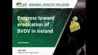 Progress toward eradication of BVDV in Ireland