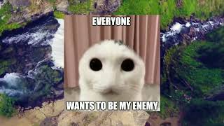 Top 5 Cat Memes - Misery Edition (part 3)