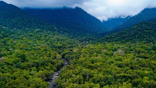 Mossman Gorge | Daintree Rainforest National Park