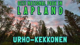 Adventure in Lapland's Urho-Kekkonen | Finland's largest National Park | Camping in Lapland's forest