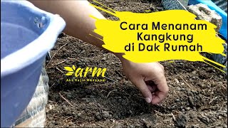 Menanam Kangkung di Dak Rumah - Aku Rajin Menanam