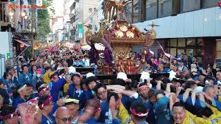 【下谷神社大祭】2024年5月11日(土) 各町神輿渡御・連合神輿渡御6年ぶり本祭り開催で凄かった！