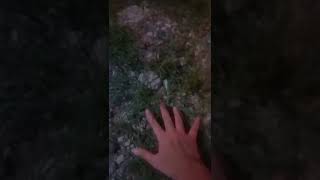 footage of me touching grass