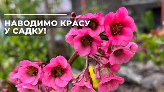 Наводимо красу у садку!