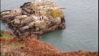 Cliff Jumping in Howth Head (Ireland)