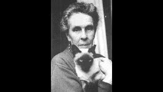 Leonora Carrington, Imaginación a galope fino