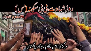 Shahadat Bibi Sakina (s.a) | 28th Muharram 2023 | Parachinar | Abbas Jan Official