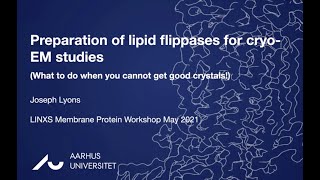 Preparation of lipid flippases for cryo-EM studies