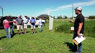 The Kochia Challenge - Plot Hop 2022