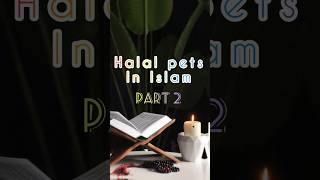 halal pets in Islam #viral #motivation #islamicwhatsappstatus #edit #islamisong#muslimummah420