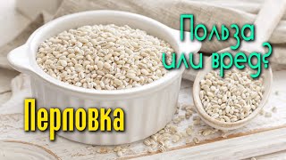 ПЕРЛОВКА, её ОГРОМНАЯ ЦЕННОСТЬ и КОВАРНОСТЬ